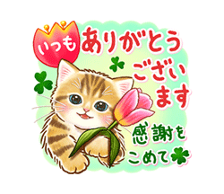 「ちっちゃい猫のスタンプ☆日常会話 / 13」