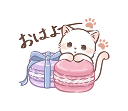 「毎日使える 大人可愛いガーリーキャット2 / 01」