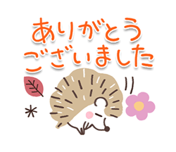 「大人の気遣い19 カラフル秋冬 / 20」