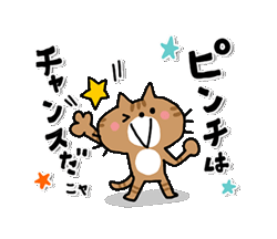 心に寄りそう　励ますにゃんこ / 14