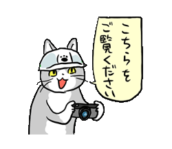 「仕事猫現場  / 01」