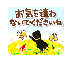 「幸運を招く春の花々と黒猫のスタンプ / 24」