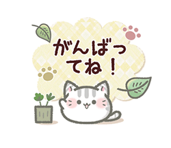【毎日使える】ねこのきもち / 12