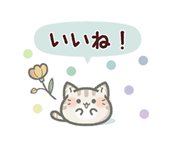 【毎日使える】ねこのきもち / 13