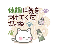 【毎日使える】ねこのきもち / 28