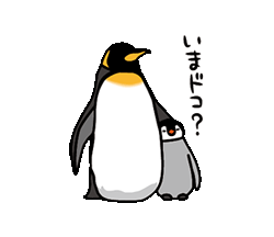 「ペンギンが、また。 / 08」