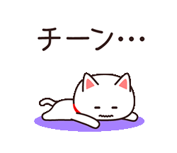 「承認するネコ☆しょうニャン / 31」