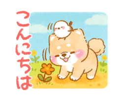 シマエナガといやしばいぬ 柴犬/敬語 / 04