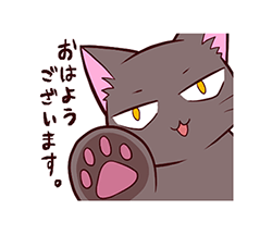 三白眼ネコ / 01
