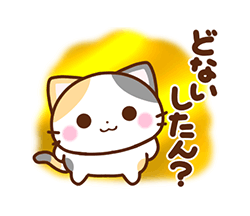 「京都の三毛猫さん / 36」