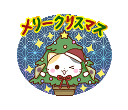 「京都の三毛猫さん 冬ver / 30」