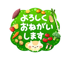 「野菜の詰め合わせ / 13」
