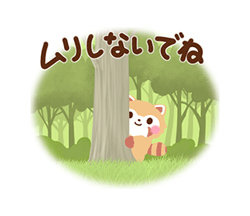 「‐Forest‐  緑の詰め合わせ / 24」