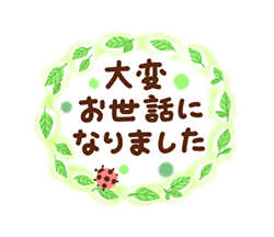 「‐Forest‐  緑の詰め合わせ / 27」