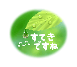 「‐Forest‐  緑の詰め合わせ / 36」