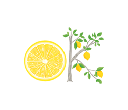 「‐Lemon‐ 黄色の詰め合わせ / 14」