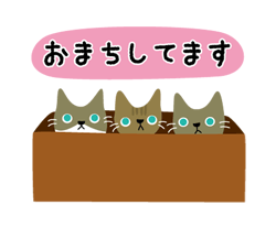 猫のそらはなりん＊敬語＊ / 09