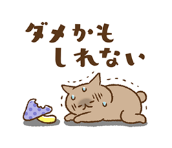「ゆるく生きるネコたち5【食欲の秋】 / 13」