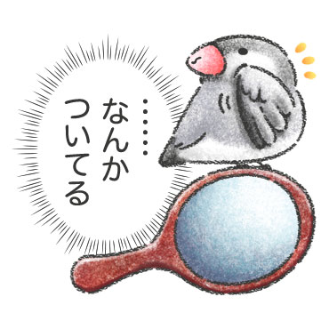「文鳥さんのホンネ / 26」