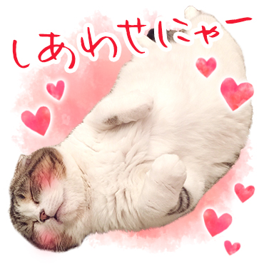 「どんぐりの日常。 / 02」
