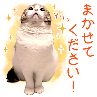 「どんぐりの日常。 / 03」