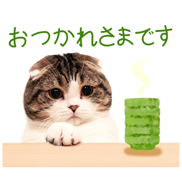 「どんぐりの日常。 / 04」