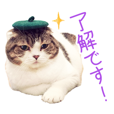「どんぐりの日常。 / 06」