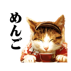 PUSH│ダウンロードページ