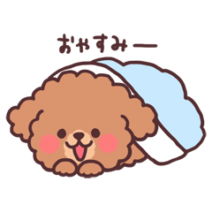 ふわふわもこもこトイプードル 壁紙 有名スタンプ取り放題