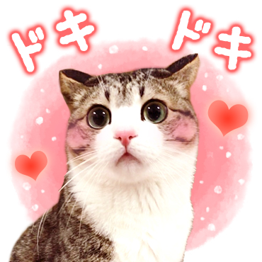 「猫のすずめちゃん / 01」