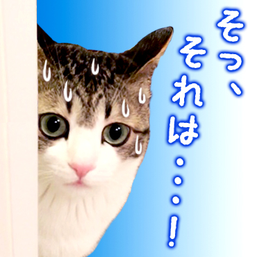 「猫のすずめちゃん / 03」