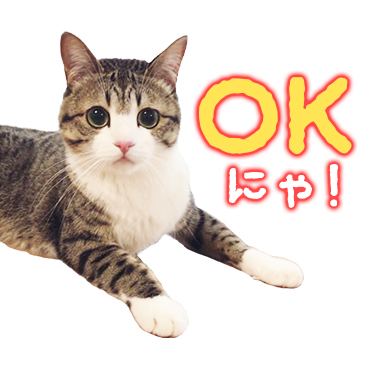 「猫のすずめちゃん / 04」