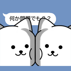 会話を邪魔するねことねこ特集