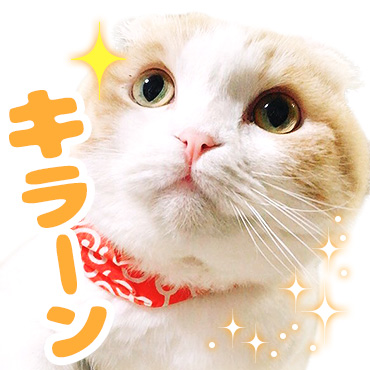 「うなぎ(うなちゃん) / 03」