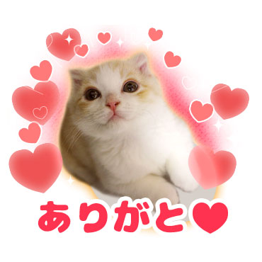 「うなぎ(うなちゃん) / 04」