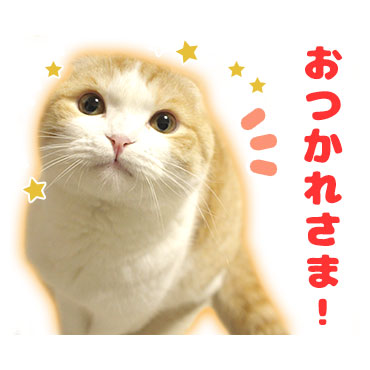 「うなぎ(うなちゃん) / 05」