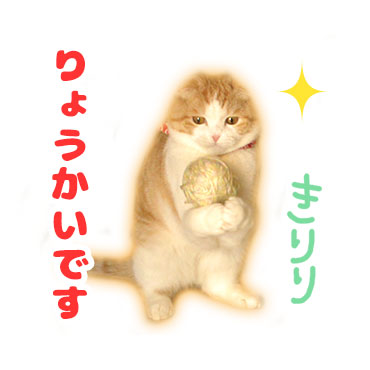 「うなぎ(うなちゃん) / 06」