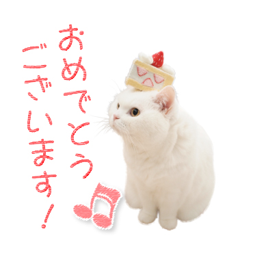 「うらちゃん / 05」