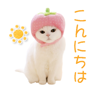 「うらちゃん / 06」