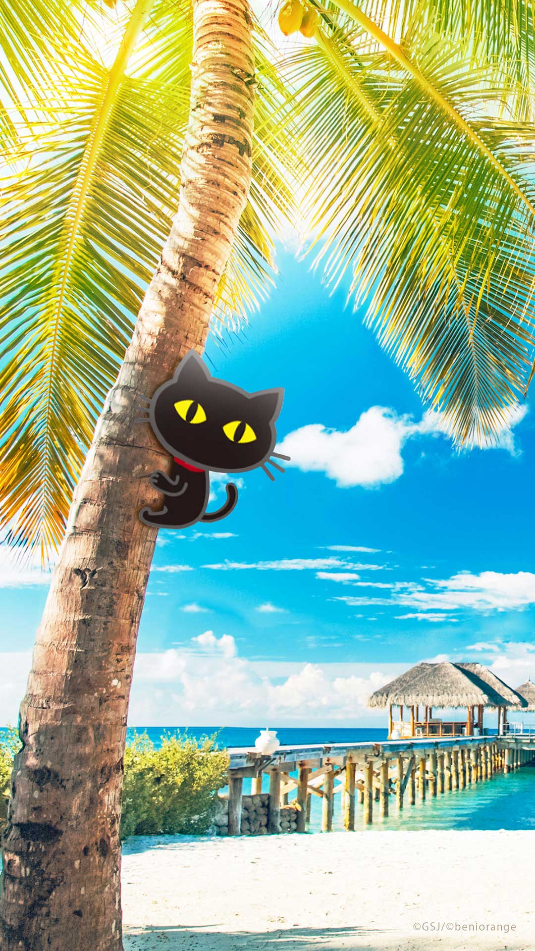 「黒ネコ　【夏のリゾート壁紙】」