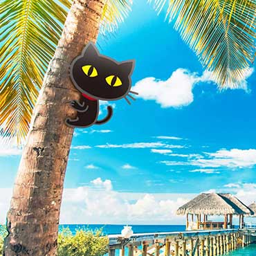黒ネコ　【夏のリゾート壁紙】