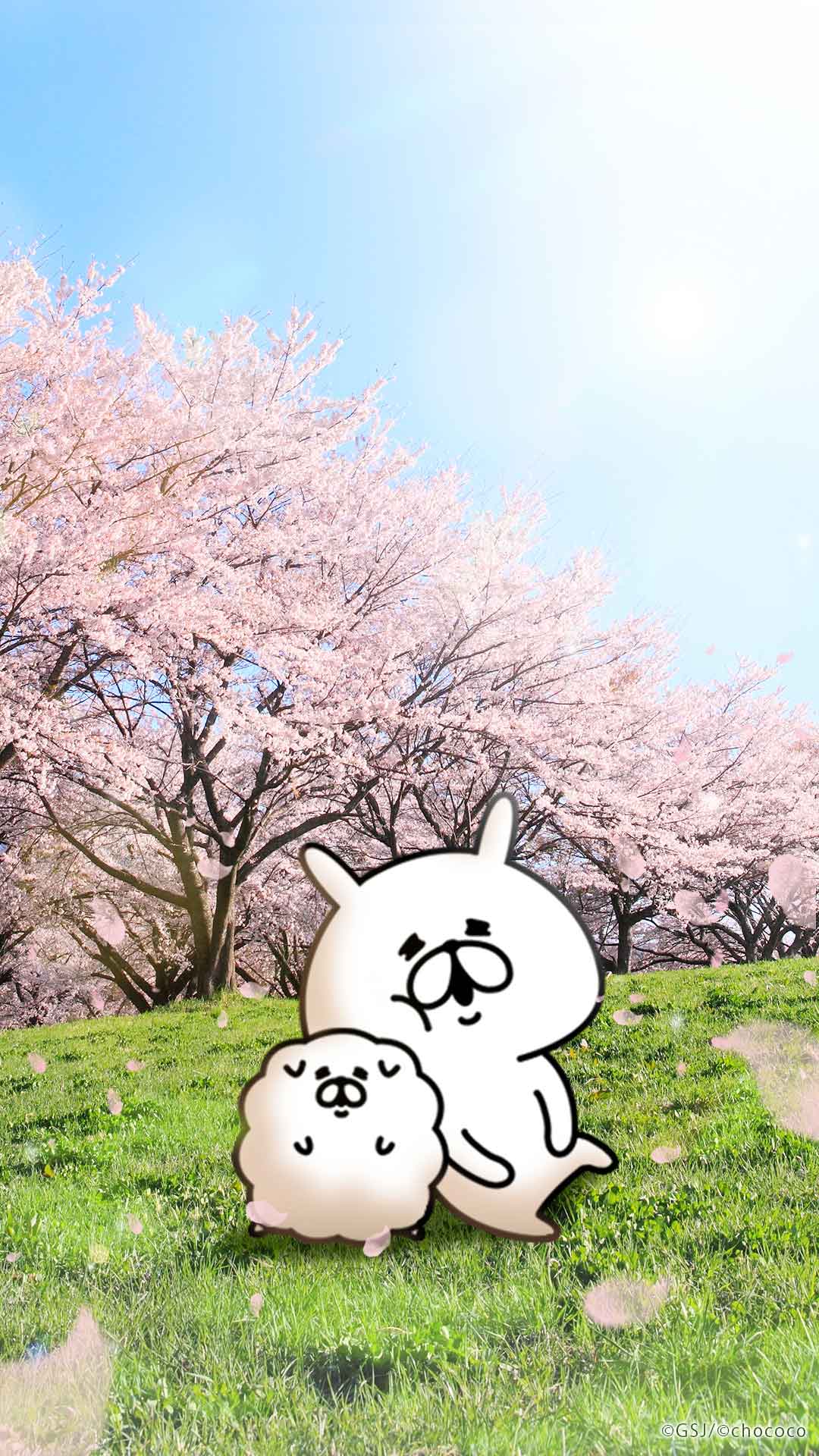 「ゆるうさぎ 【桜の風景壁紙】」