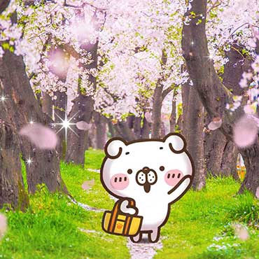 いぬ田さん　【桜の風景壁紙】