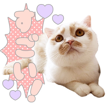 「甘え猫ホイップ / 01」