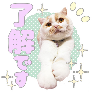 「甘え猫ホイップ / 02」