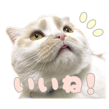 「甘え猫ホイップ / 04」