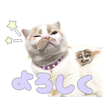 「甘え猫ホイップ / 06」