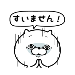 ぬこ100％敬語編特集