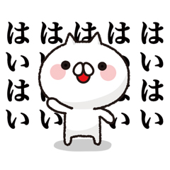 全力でリアクションするねこ特集