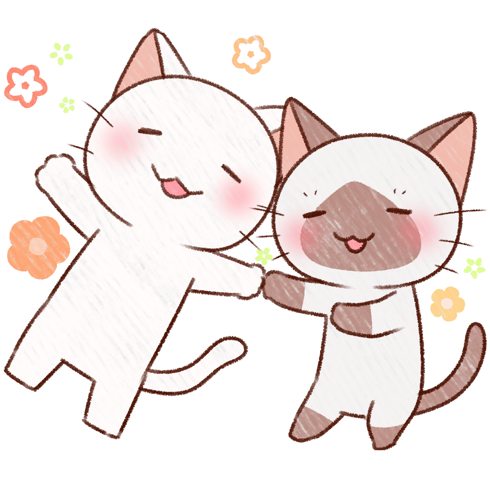 新規クリエイター特集